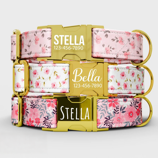 Personalized Watercolor Floral Dog Collar with Leash: Handmade Adjustable Fit