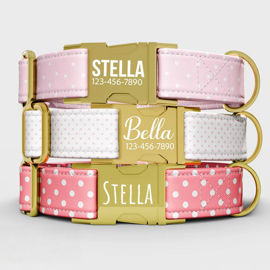 Pink Polkadot Dog Collar with Leash: Personalized Blush, Adjustable, Handmade