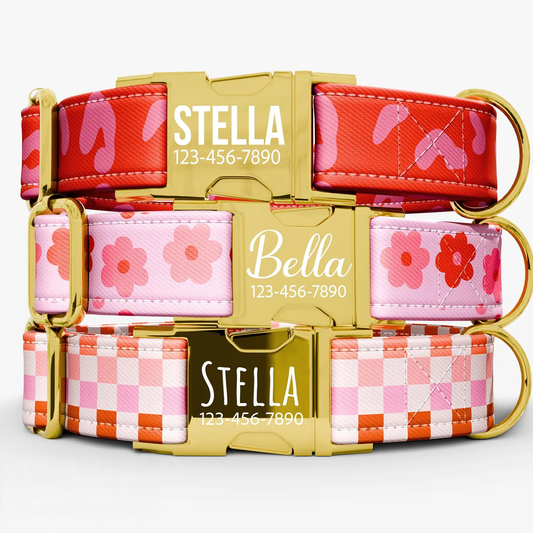 Personalized Pink Floral Dog Collar with Leash: Adjustable Bohemian Design