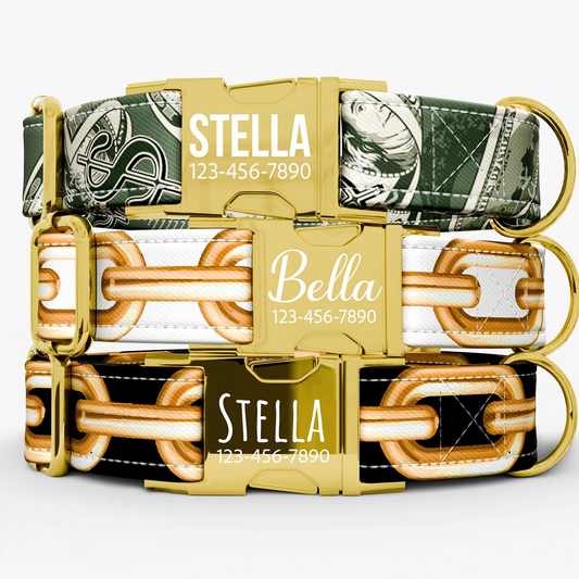 Personalized "Money" Dog Collar with Leash: Adjustable Bohemian Style