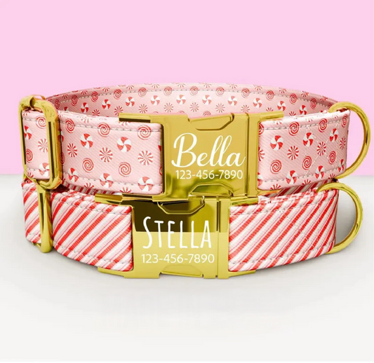 Pink Christmas Candy Dog Collar with Leash: Personalized Holiday Collar