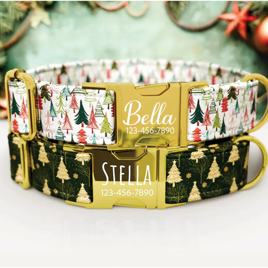 Christmas Plaid Dog Collar with Leash: Personalized Holiday Theme