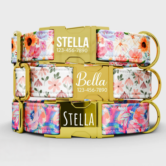 Personalized Watercolor Floral Dog Collar with Leash: Custom Metal Buckle