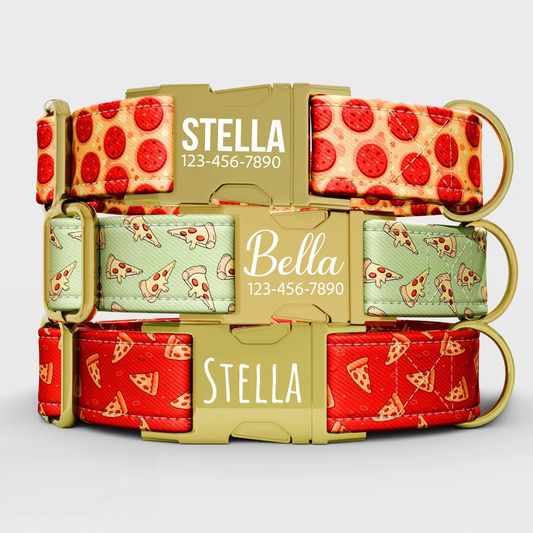 Pizza Dog Collar with Leash: Personalized Pepperoni Fast Food Theme