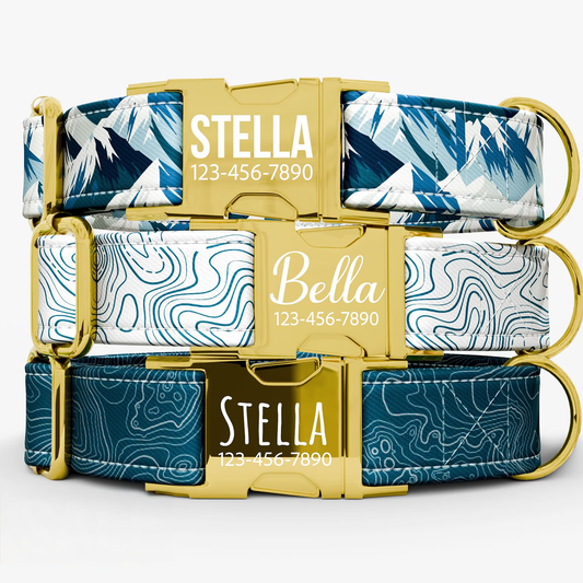 Personalized Topographic Dog Collar: Custom PNW Print, Handmade in USA