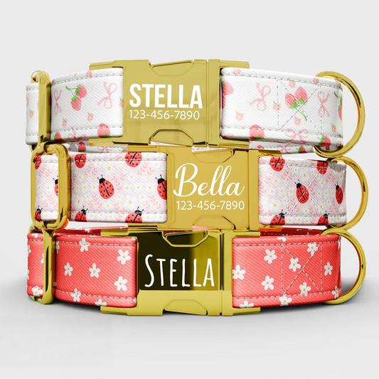 Personalized Strawberry Dog Collar with Leash: Pink Girly Custom Collar