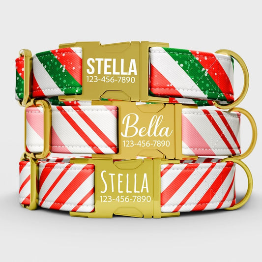 Christmas Candy Cane Dog Collar, Personalized Holiday Collar