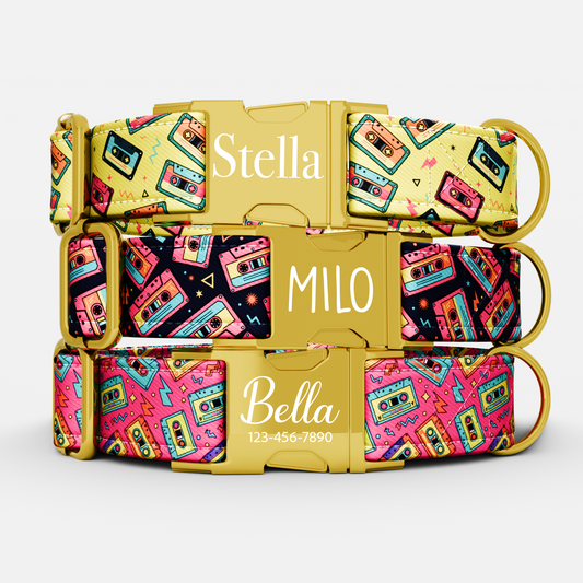 Personalized 80s Music Theme Dog Collar with Leash