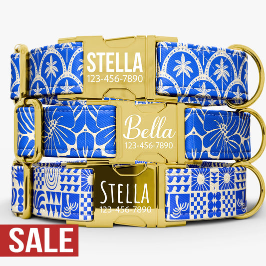 Personalized Bohemian Dog Collar with Leash: Turkish Theme, Metal Buckle