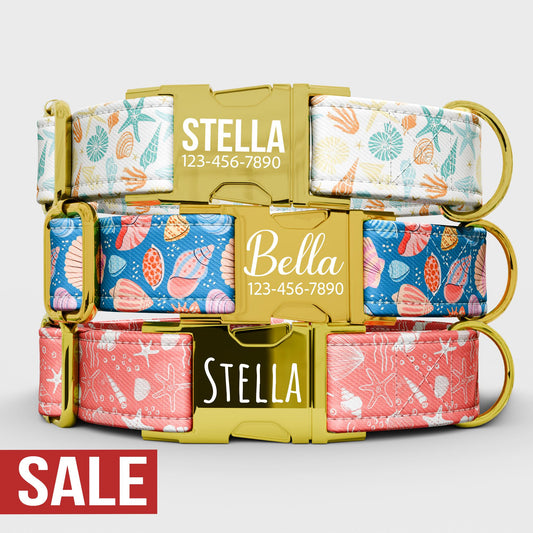 Personalized Ocean Dog Collar with Leash: Seashell Beach Custom Collar