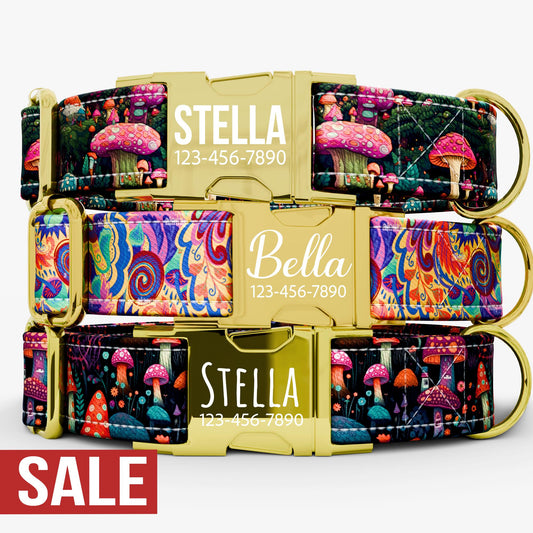 Mushroom Dog Collar & Leash Set: Personalized Engraved Buckle, USA Handmade