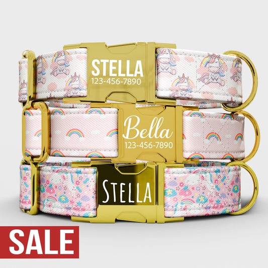 Personalized Rainbow Dog Collar with Leash: Pink Princess Theme