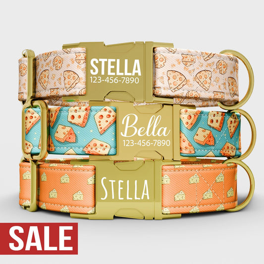 Custom Cheese Dog Collar with Leash: Adjustable, Handmade in USA