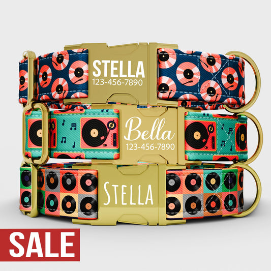 Vinyl Record Dog Collar with Leash: Personalized Music Theme, Adjustable Metal Buckle