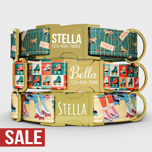 Personalized 80s Roller Skate Dog Collar with Leash: Custom Disco Theme