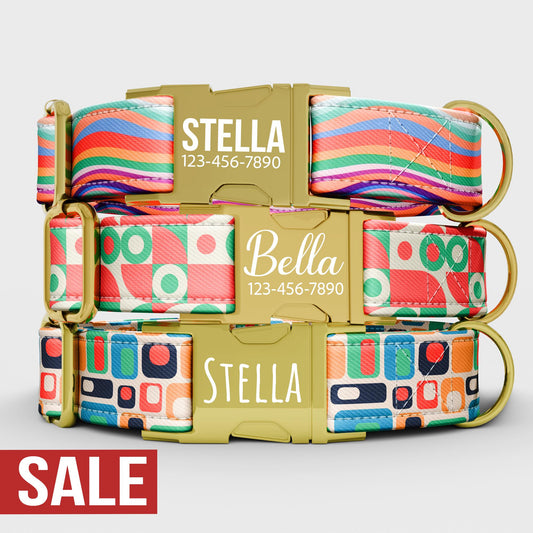 Personalized 70s Disco Dog Collar with Leash: Custom Metal Buckle