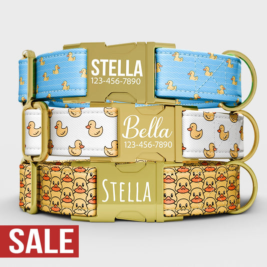 Rubber Ducky Dog Collar with Leash: Playful Kids Theme, Adjustable, Handmade