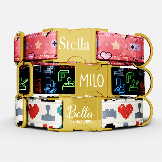 Personalized Video Game Theme Dog Collar with Leash (Copy)
