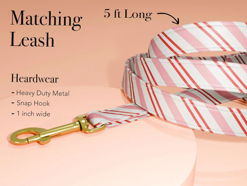 Christmas Candy Cane Dog Collar, Personalized Holiday Collar