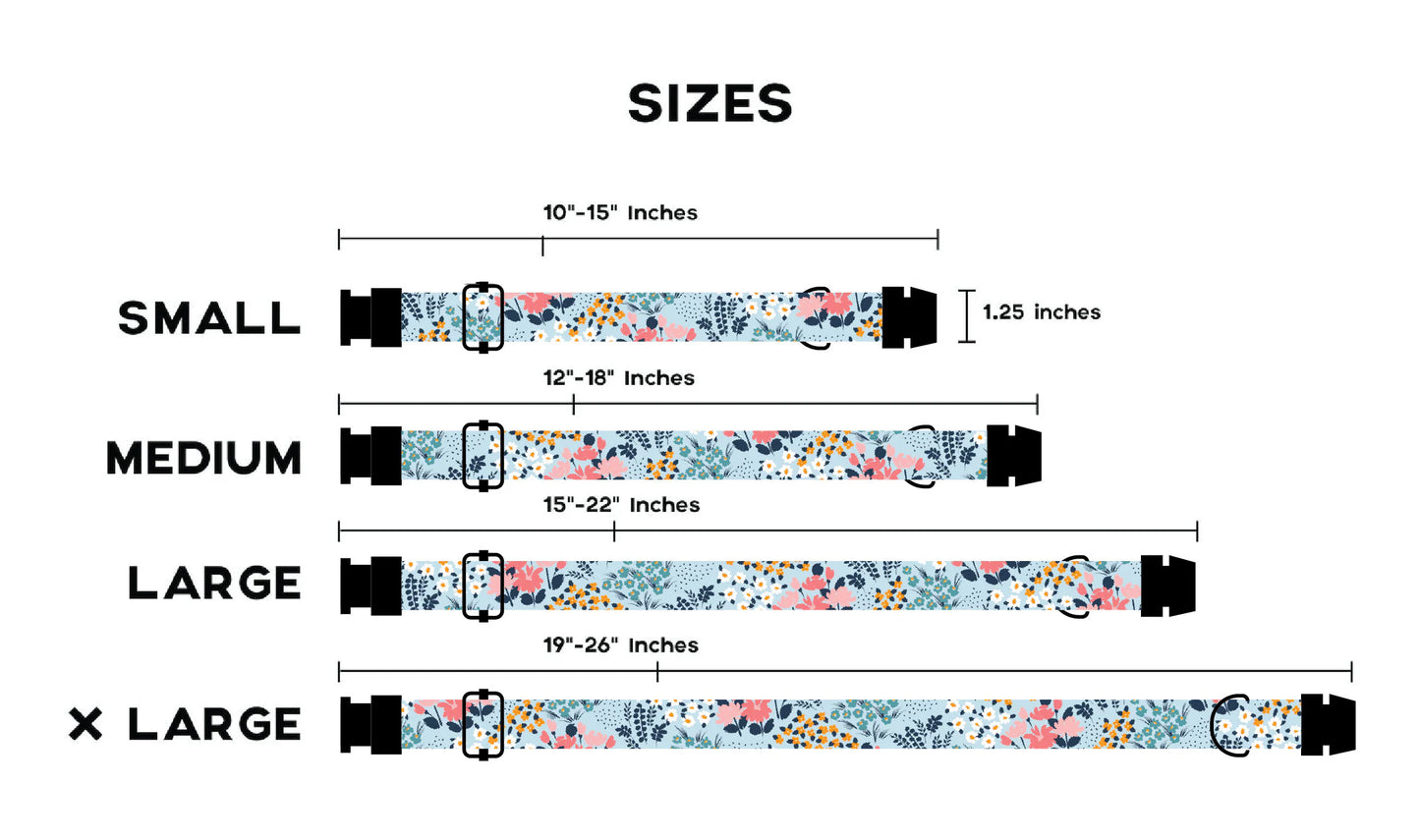 Personalized PNW Dog Collar