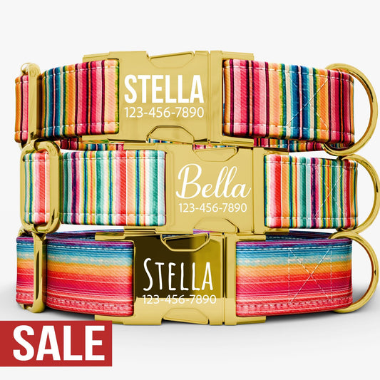 Personalized Boho Dog Collar with Leash: Adjustable Metal Buckle, USA Handmade