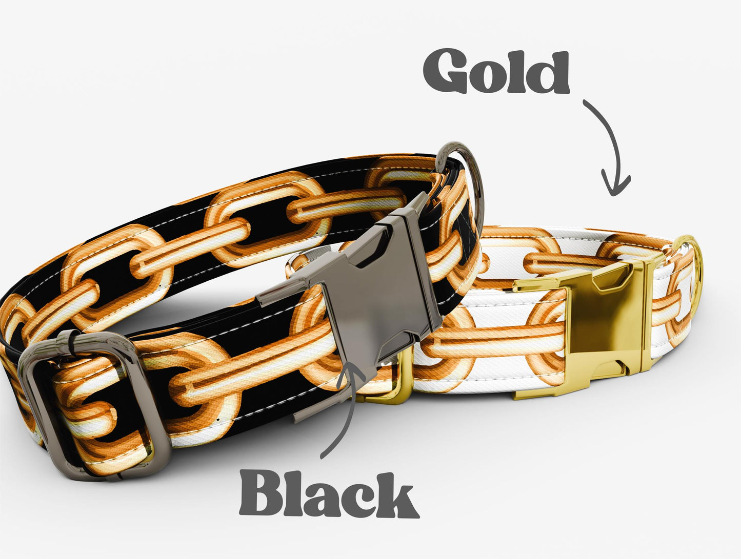 Personalized "Money" Dog Collar with Leash: Adjustable Bohemian Style