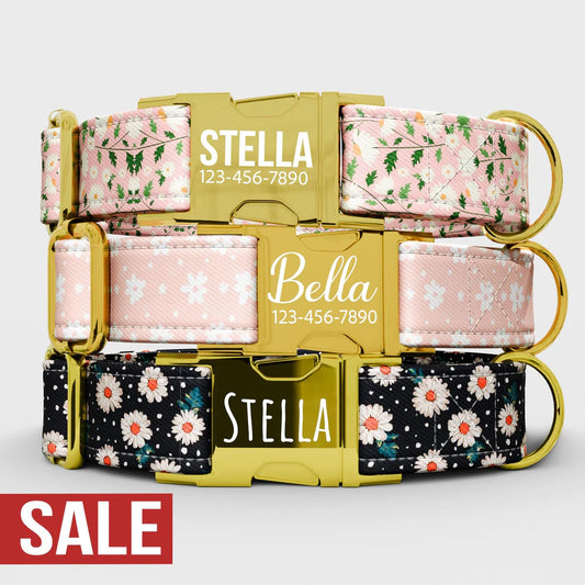 Personalized Pink Daisy Floral Theme Dog Collar with Leash