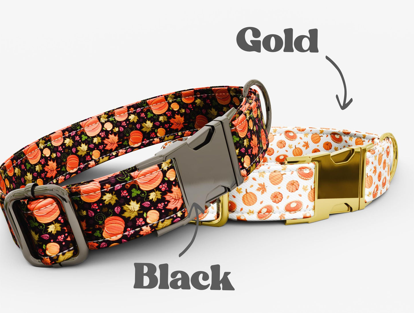 Personalized Fall Pumpkin Dog Collar with Leash: Adjustable Thanksgiving Collar