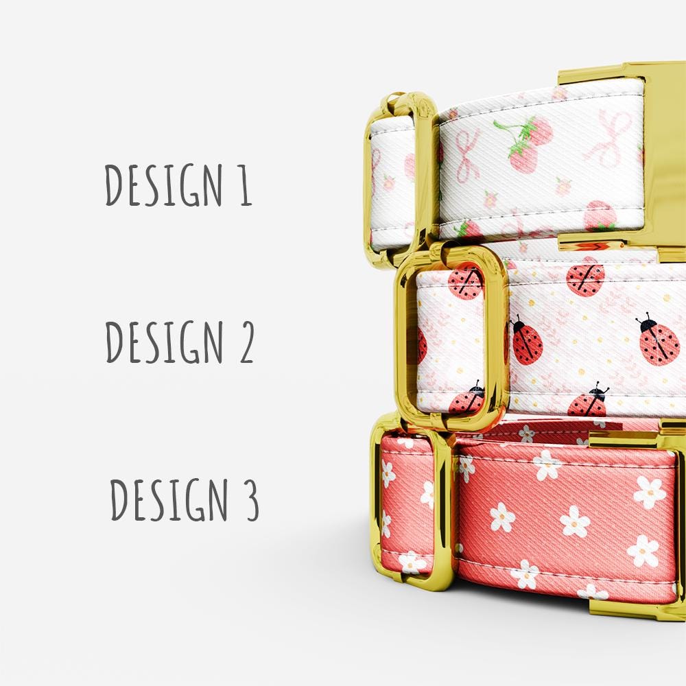 Personalized Strawberry Dog Collar with Leash: Pink Girly Custom Collar