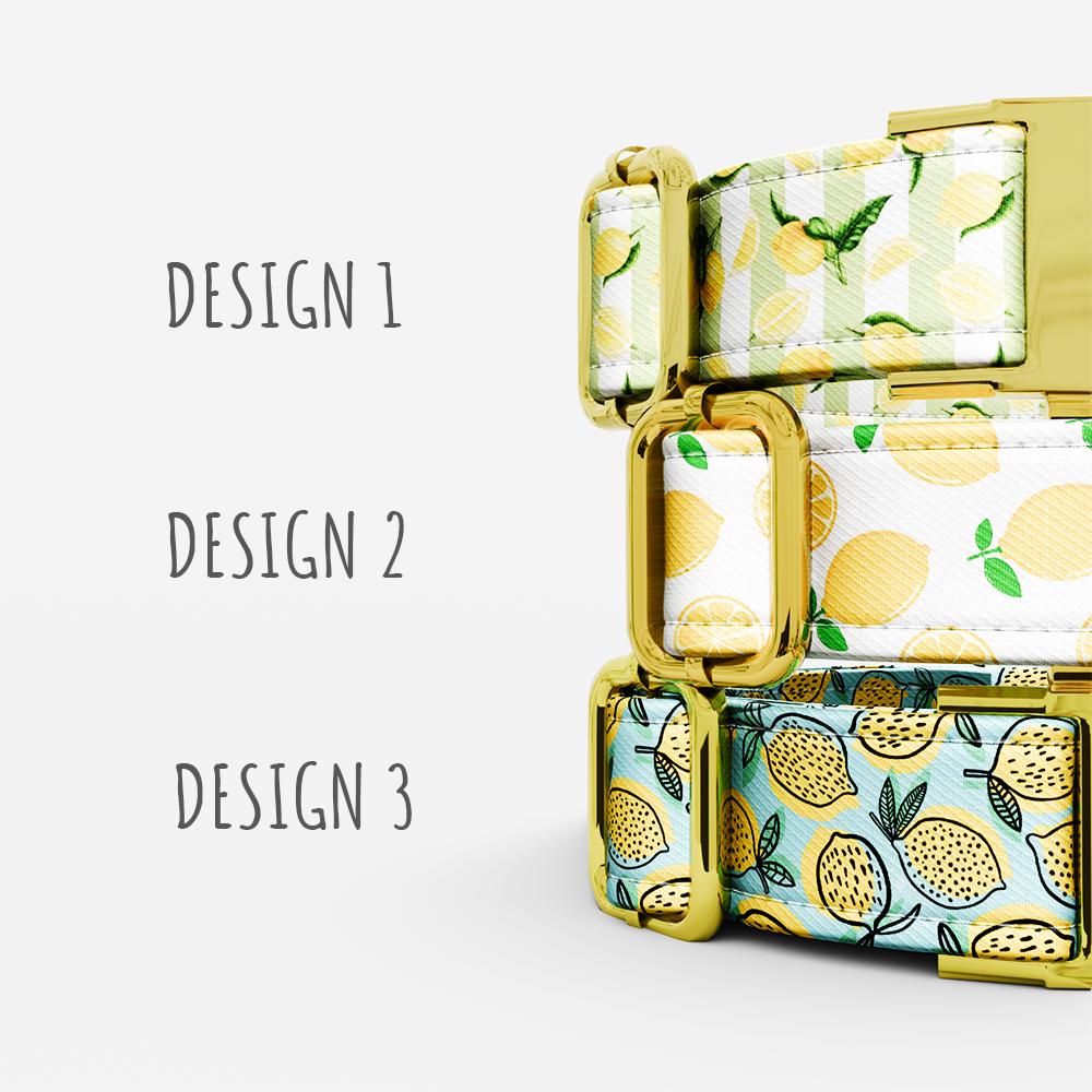 Personalized Lemon Dog Collar with Leash: Summer Lime Theme, USA Handmade