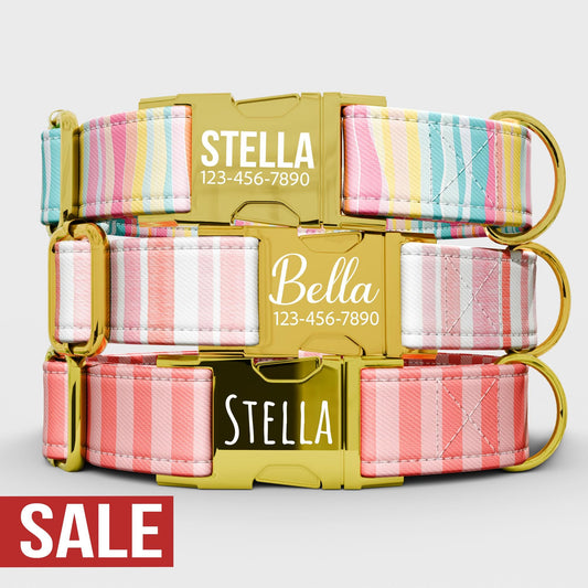 Personalized Striped Dog Collar with Leash: Handmade Water Repellent Fabric
