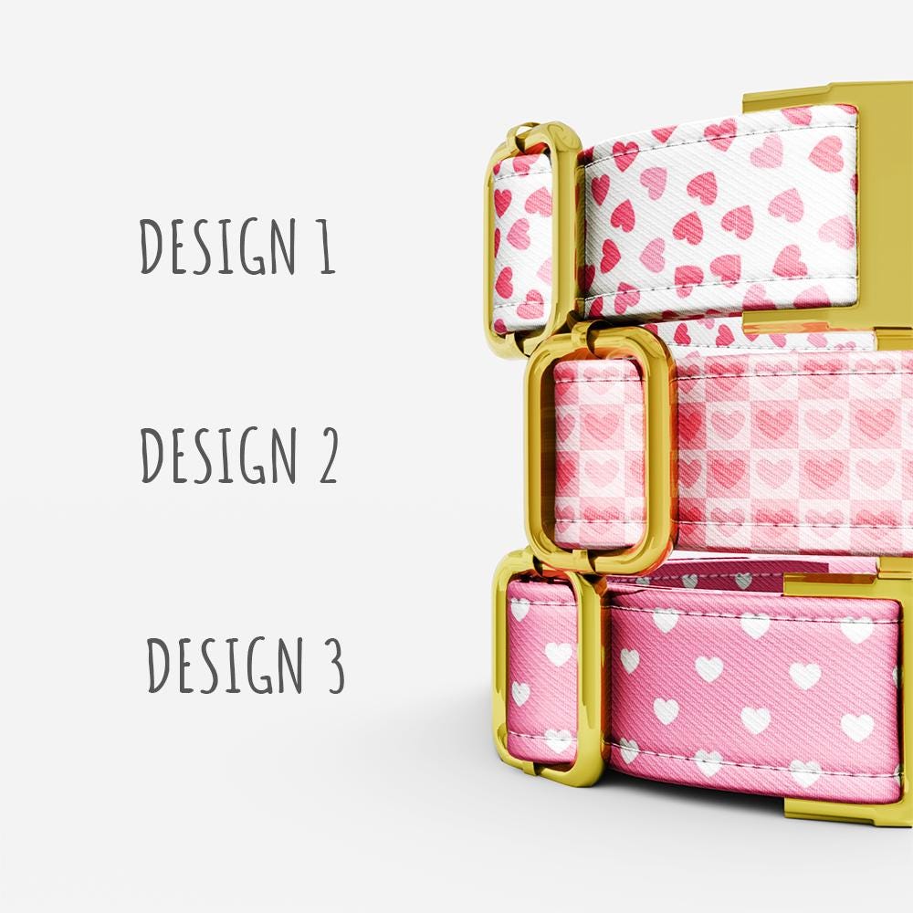 Personalized Pink Hearts Dog Collar with Leash: Love & Valentines Theme