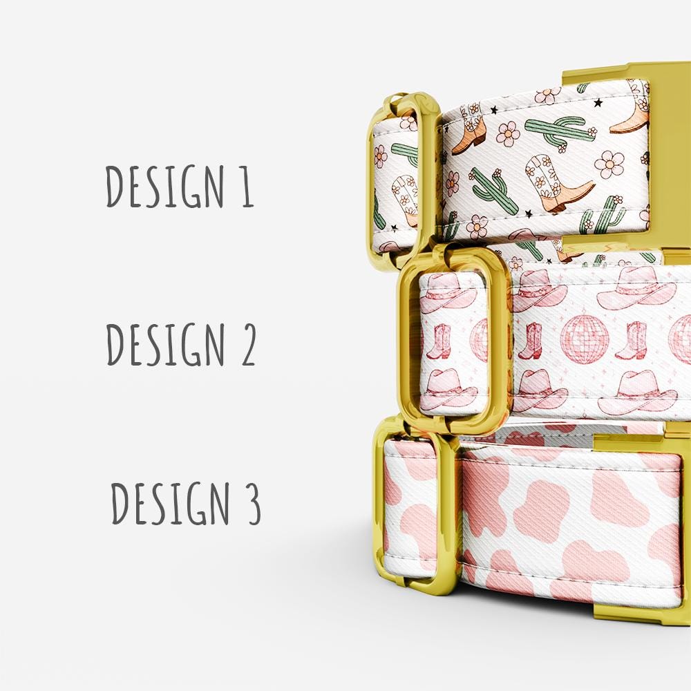 Personalized Cowgirl Dog Collar with Leash: Girly Western Theme, Adjustable