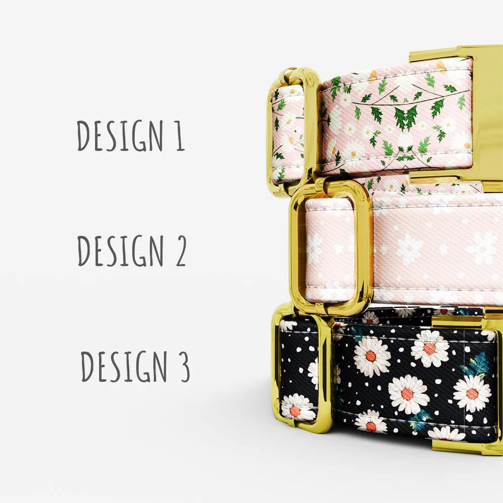 Personalized Pink Daisy Floral Theme Dog Collar with Leash