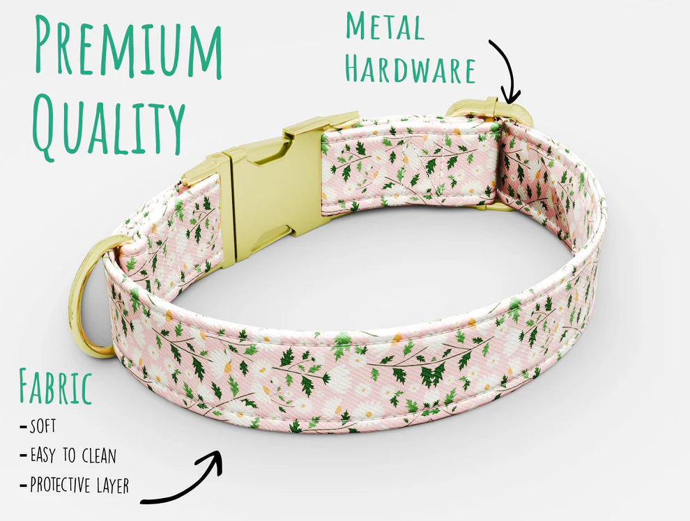 Personalized Pink Daisy Floral Theme Dog Collar with Leash