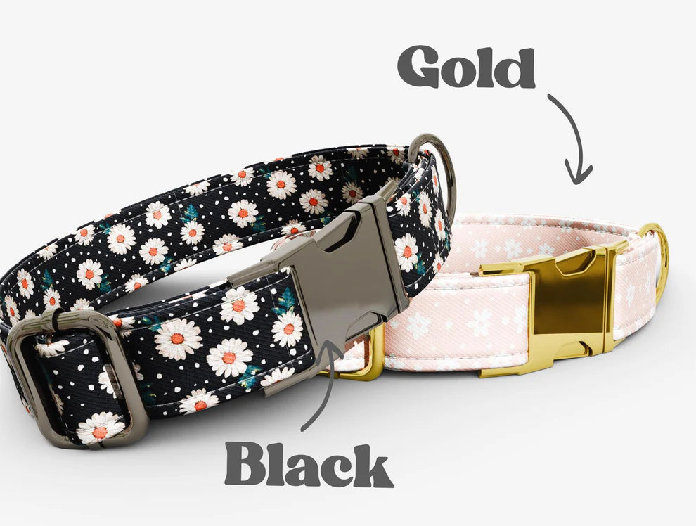 Personalized Pink Daisy Floral Theme Dog Collar with Leash
