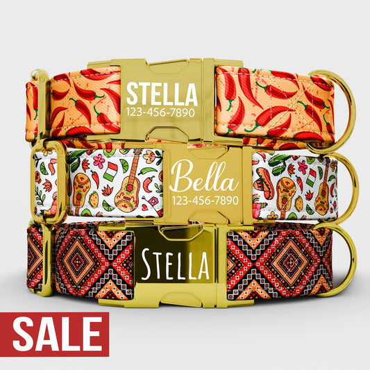 Personalized Mexican Dog Collar with Leash: Handmade Hispanic Theme, Adjustable Metal Buckle