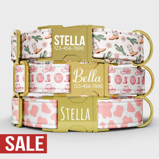 Personalized Cowgirl Dog Collar with Leash: Girly Western Theme, Adjustable