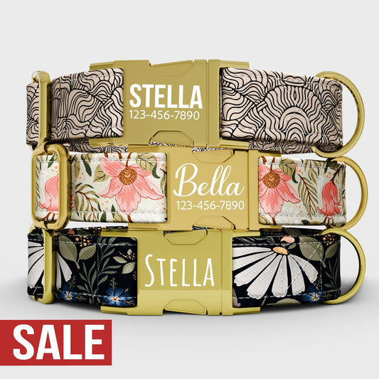 Whimsical Floral Dog Collar with Leash: Adjustable Boho Farmhouse Style