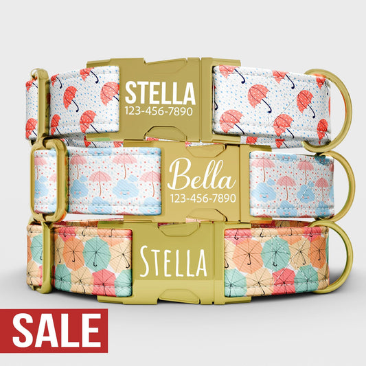 Umbrella Dog Collar with Leash: Rain Theme, Adjustable, Water Repellent