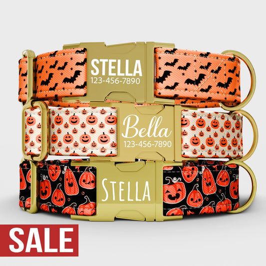 Halloween Pumpkin Dog Collar with Leash: Trick or Treat Theme, Adjustable, Handmade