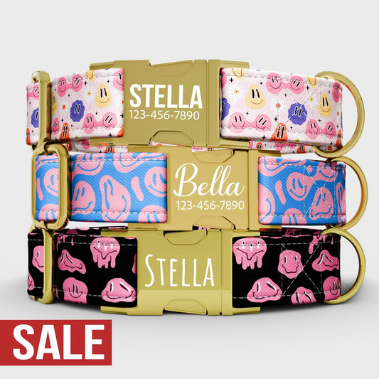 Smiley Face Dog Collar with Leash: Custom Adjustable, Metal Buckle