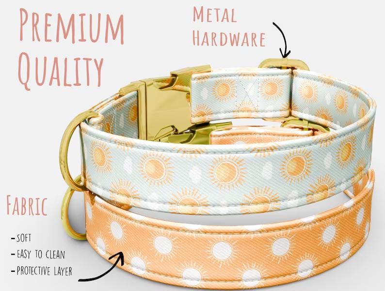 Personalized SUNSHine Dog Collar with Leash: Adjustable Summer Theme
