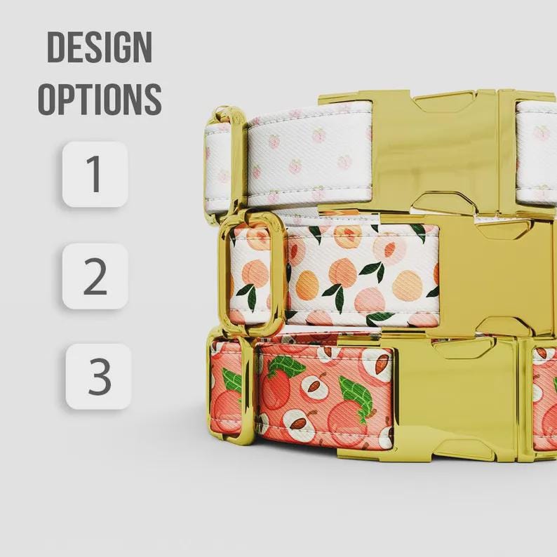 Peaches Dog Collar: Fruit Theme, Personalized Custom Metal Buckle, with Leash