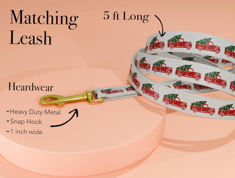 Holiday Theme Dog Collar, Personalized Holiday Collar