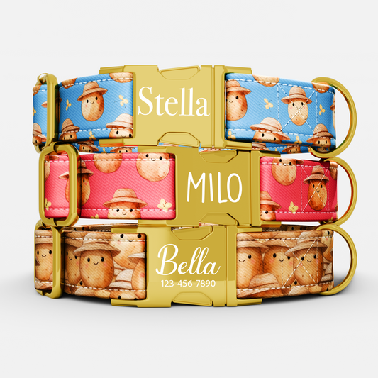 Personalized Cute Potato Silly Dog Collar with Leash