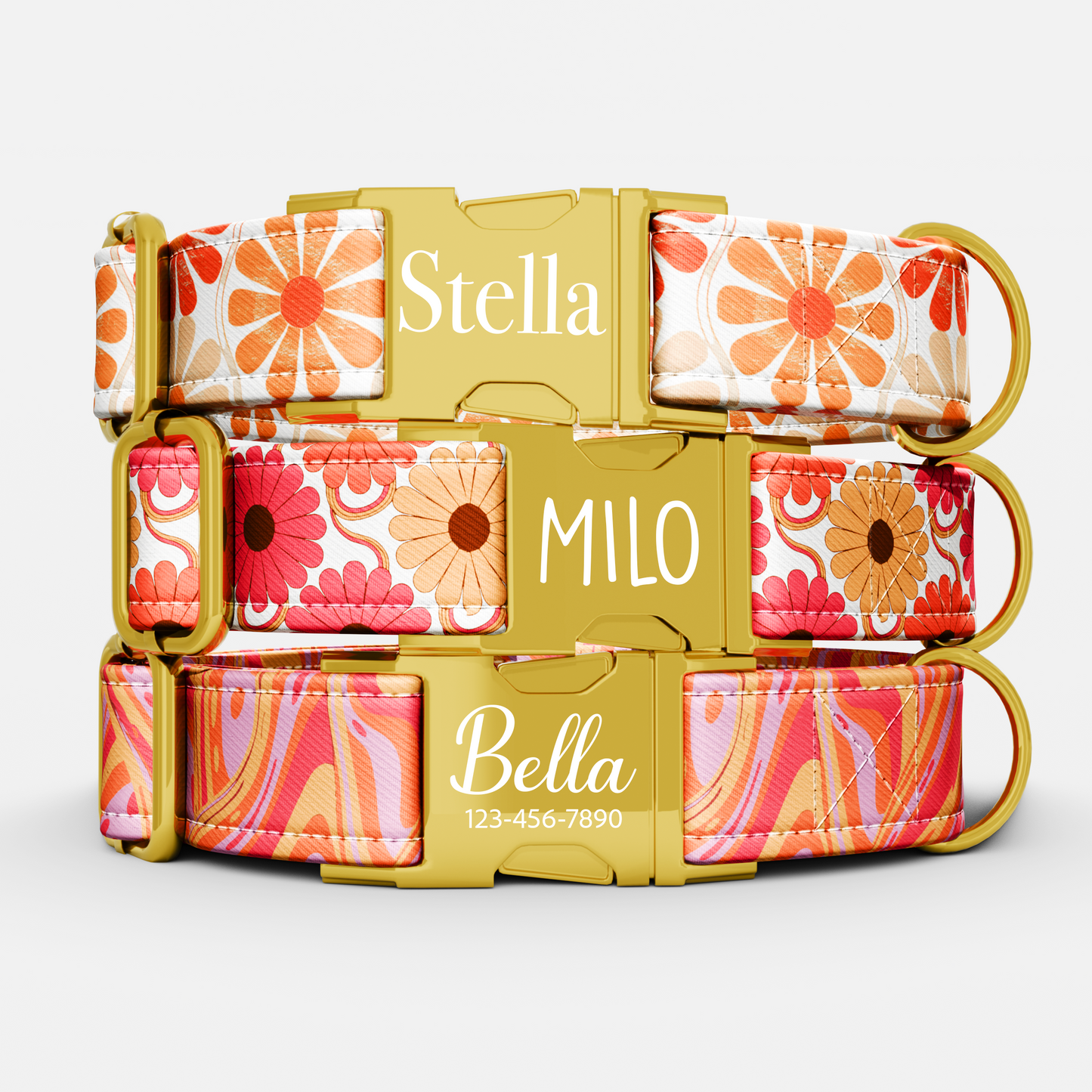 Personalized 70s Groovy Theme Dog Collar with Leash